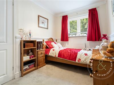 Picture 14